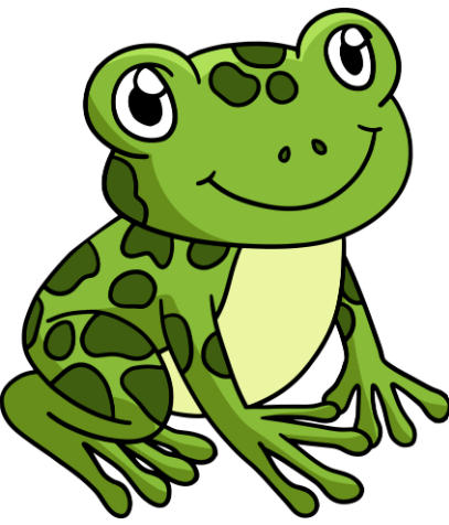 Frogs - Anatomy, Morphology, and Features (Complete Guide)_3.1