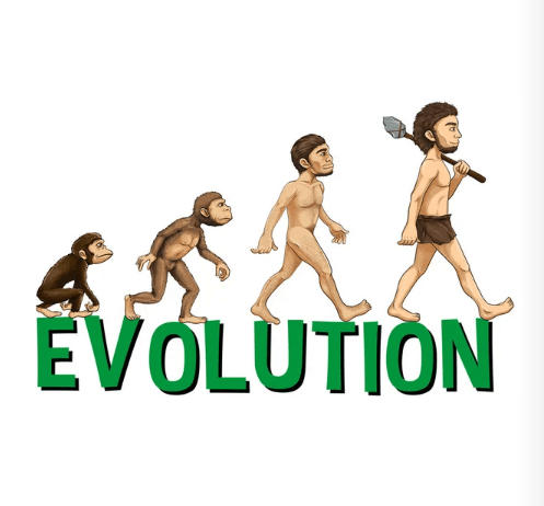 EVOLUTION