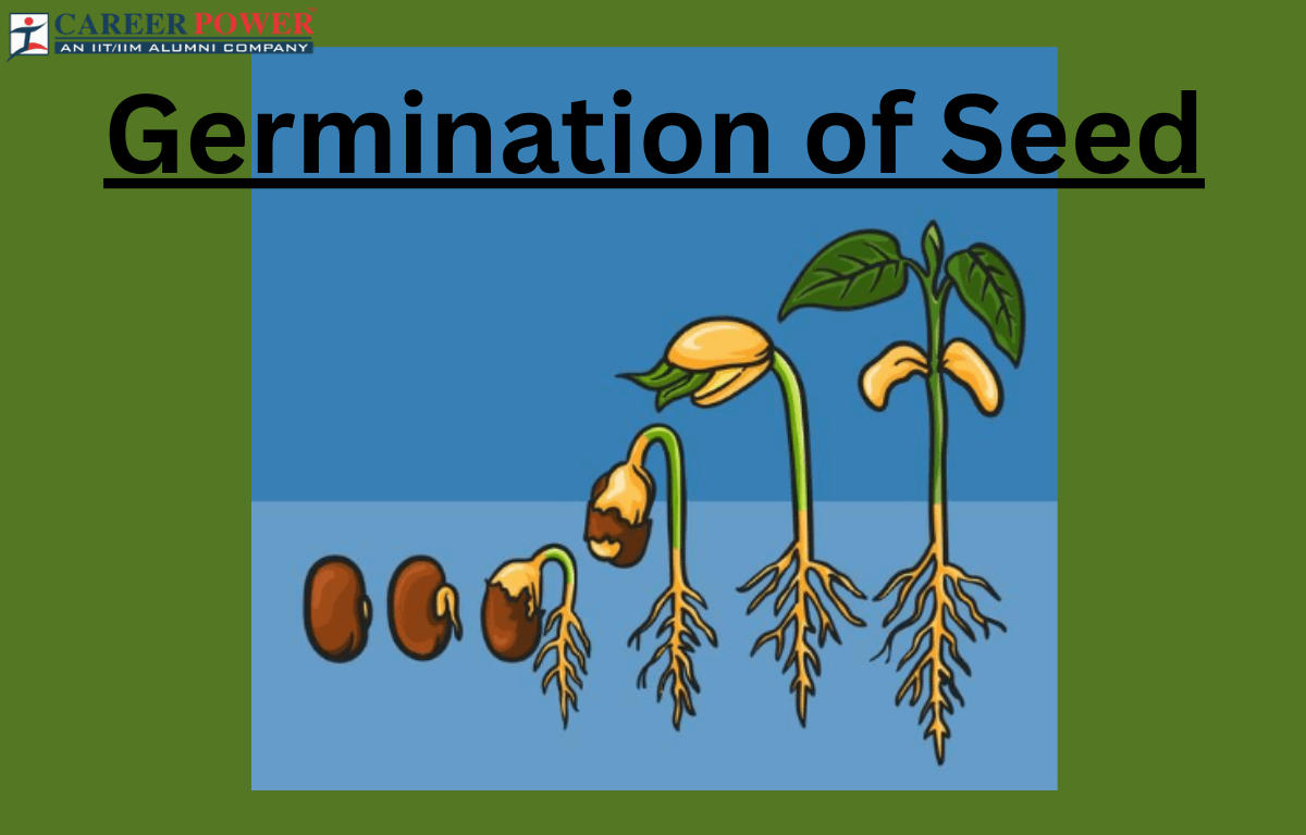 Seed Germination: Definition, Process, and Factors Affecting the Process_20.1