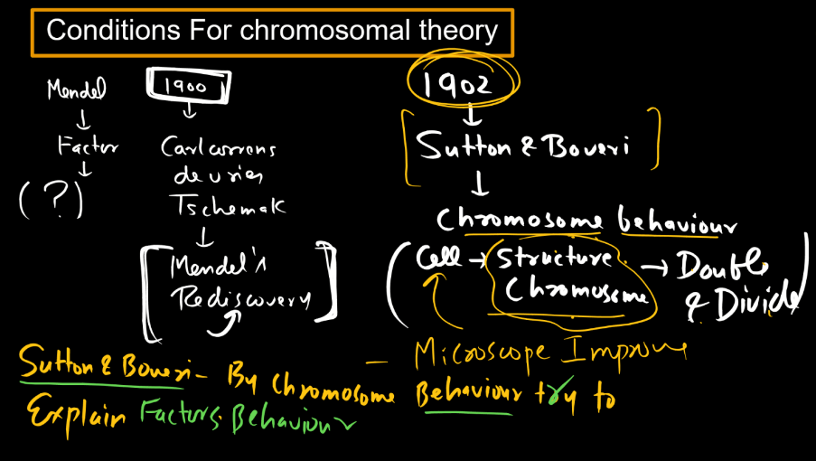 Chromosomal Theory of Inheritance_70.1