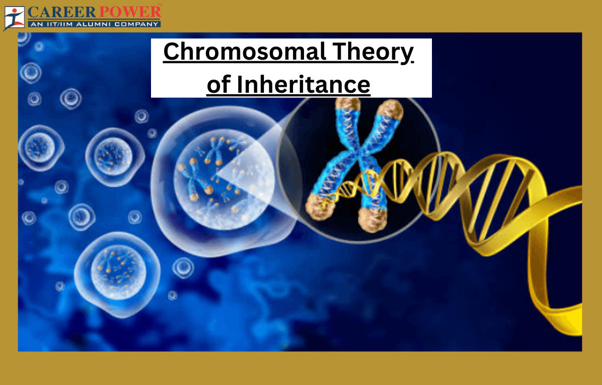 Chromosomal Theory of Inheritance_20.1