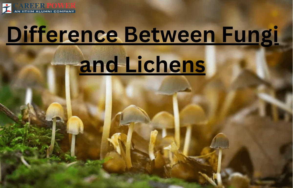 Fungi and Lichens: Definition, Differences, and Functions_20.1