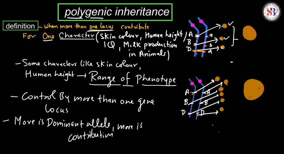 Polygenic Inheritance - Definition, Characteristics, and Examples_3.1
