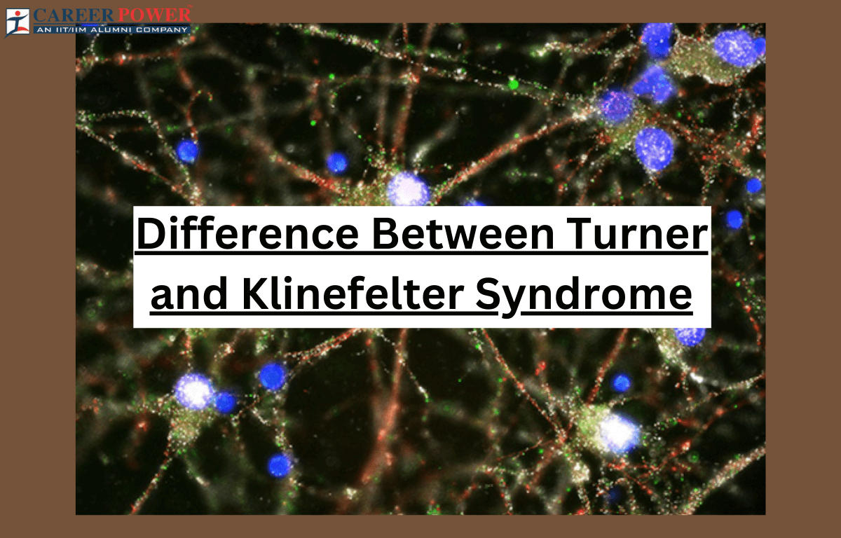 Turner Syndrome and Klinefelter Syndrome - Definition, Differences and its Causes_20.1