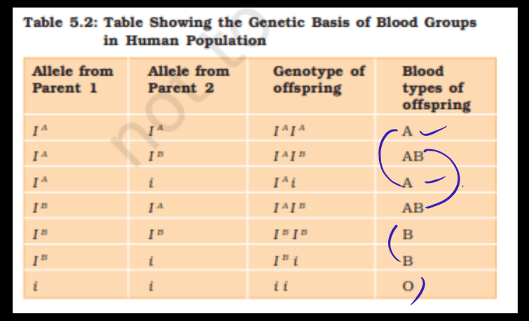 Codominance - Definition, Ratio, Blood Group Example and Facts_4.1