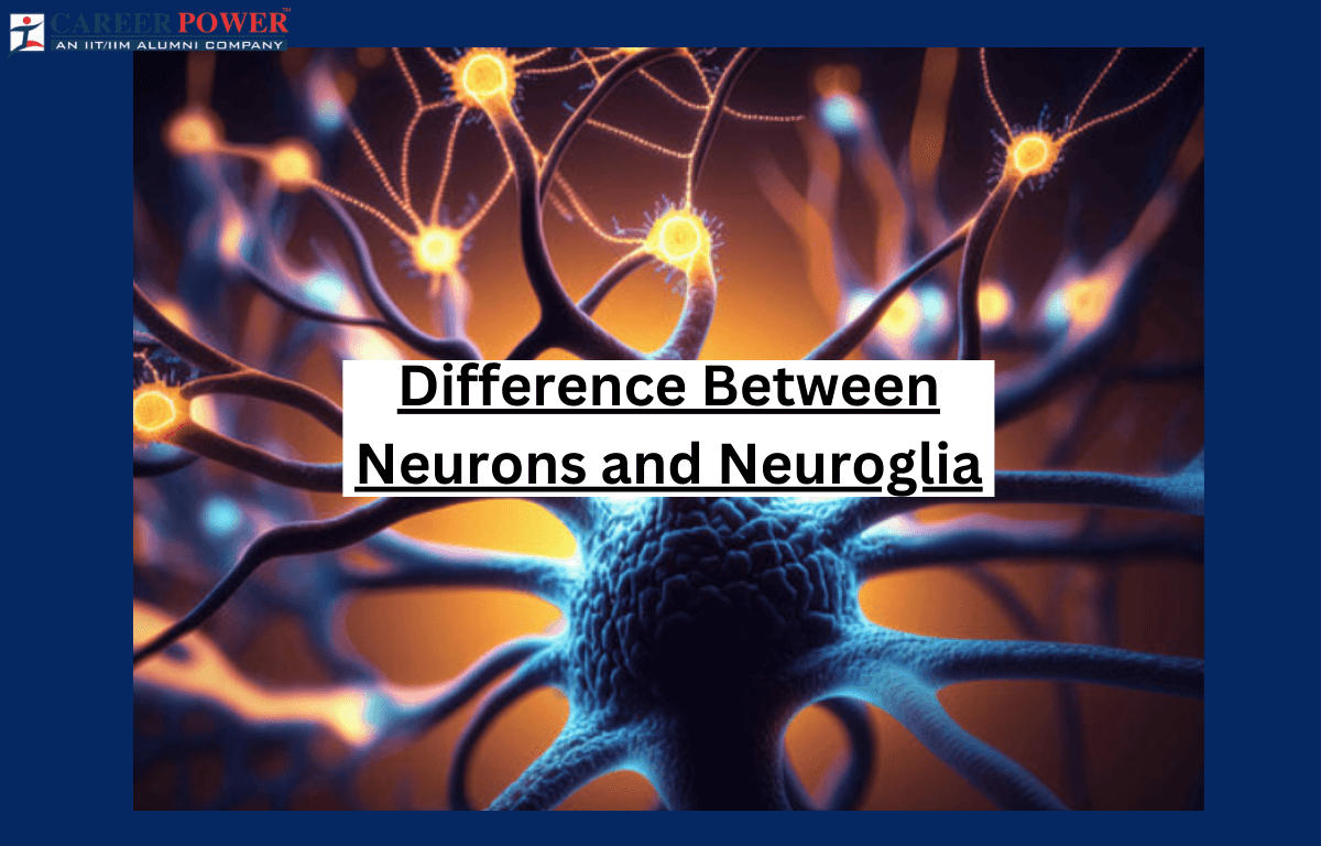 difference between neuron and neuroglia
