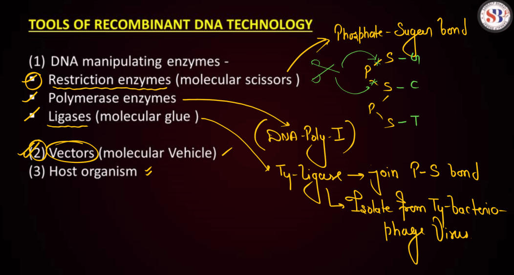 Biotechnology Principles and Processes Class 12 Notes_120.1
