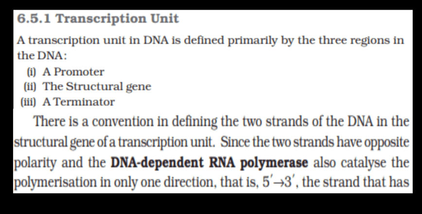 Transcription - Process, Unit, RNA Polymerase, Types of RNA_120.1