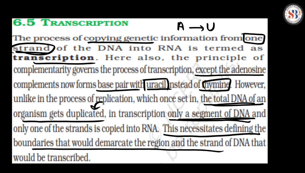 Transcription - Process, Unit, RNA Polymerase, Types of RNA_50.1