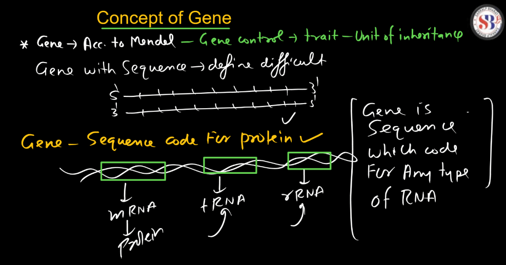 Transcription - Process, Unit, RNA Polymerase, Types of RNA_15.1