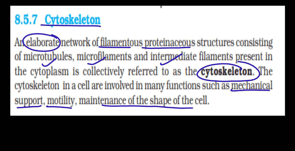 Cytoskeleton - Definition, Types, Structure and Functions_4.1