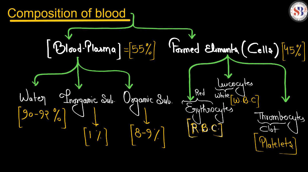 Blood - Definition, its Components, and Functions_50.1