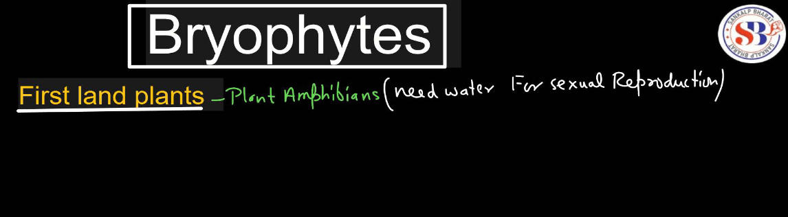Bryophytes - Define, Characteristics, Classification, Examples_3.1
