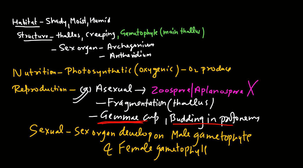 Bryophytes - Define, Characteristics, Classification, Examples_8.1