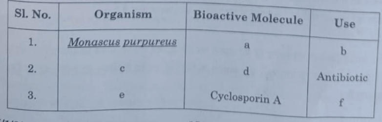 CBSE Class 12 Biology Answer Key 2024, Question Paper All SET 1,2,3,4_9.1