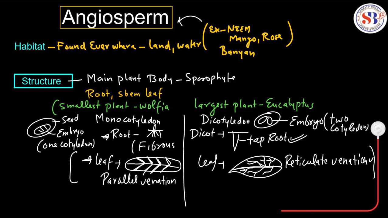 Gymnosperms vs Angiosperms - Difference and Comparison_6.1