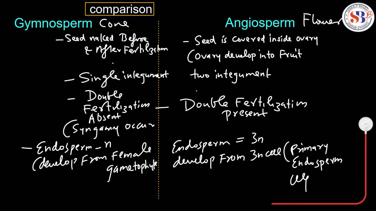 Gymnosperms vs Angiosperms - Difference and Comparison_9.1
