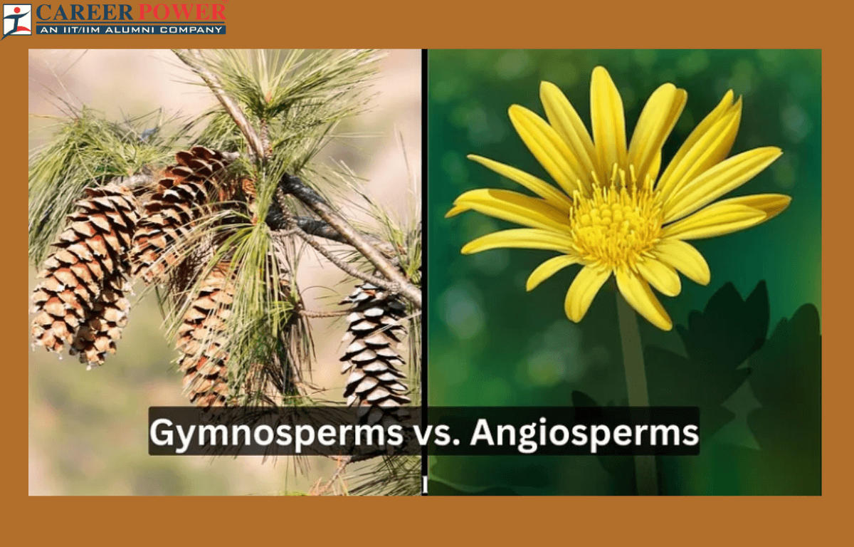 difference between gymnosperm and angiosperm