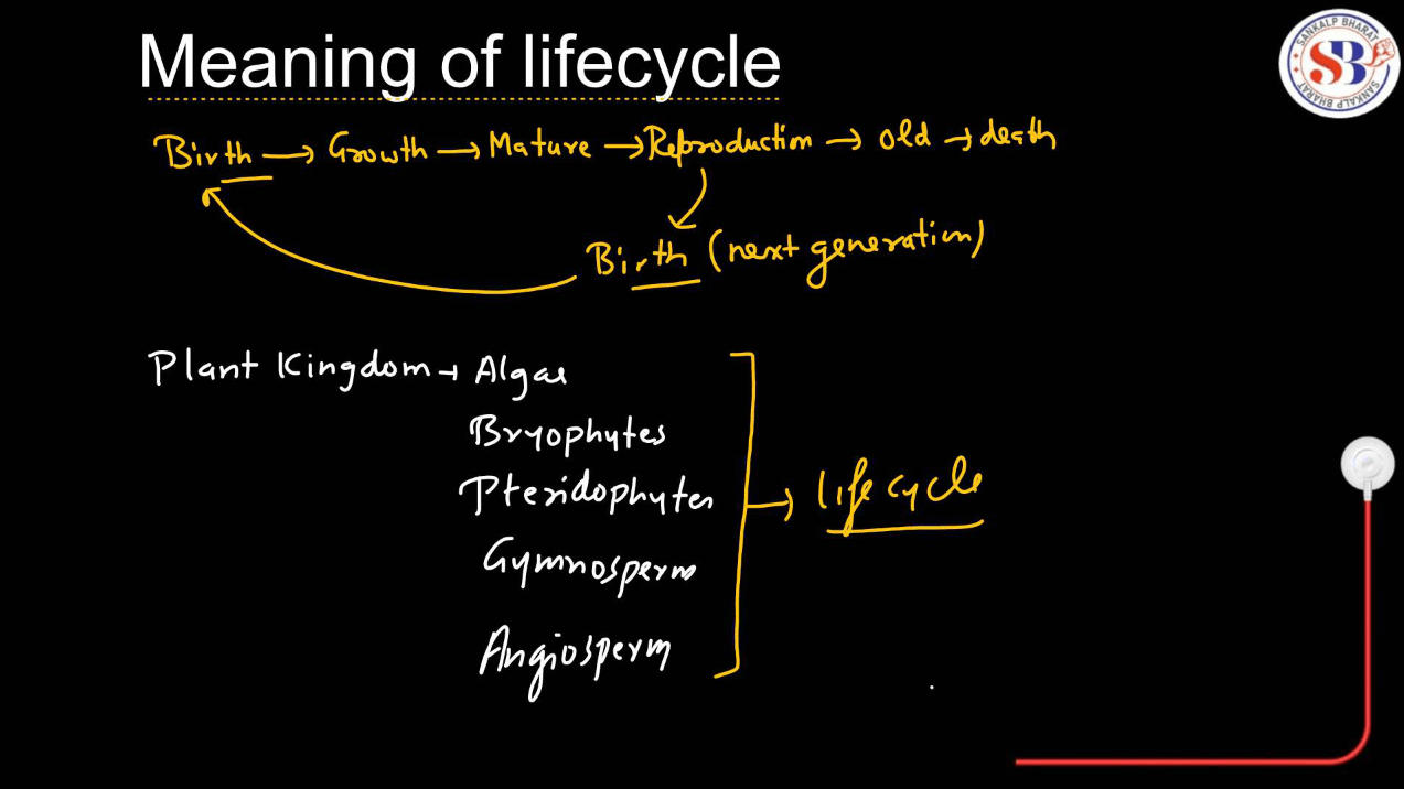 Plant Life Cycle - Type, Process, Part and Phases in Cycle_3.1