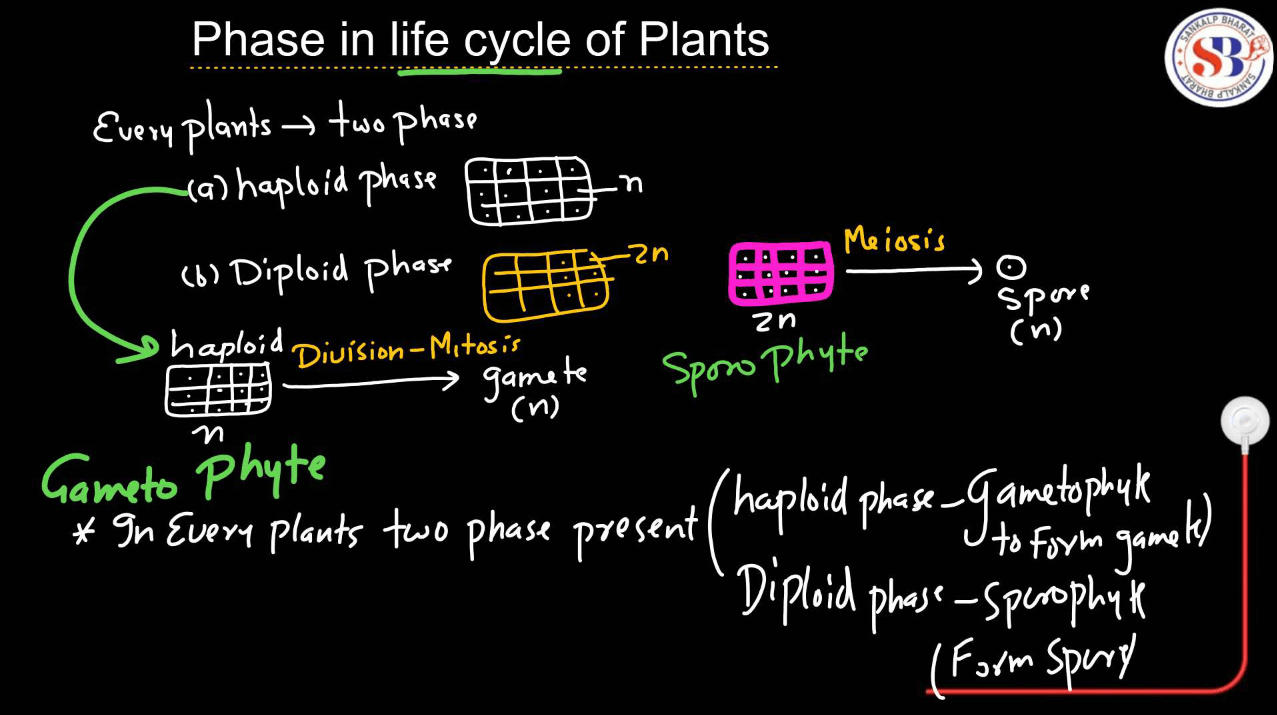 Plant Life Cycle - Type, Process, Part and Phases in Cycle_5.1