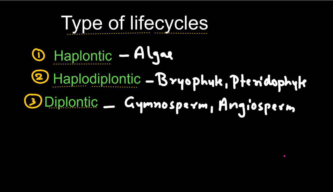 Plant Life Cycle - Type, Process, Part and Phases in Cycle_7.1