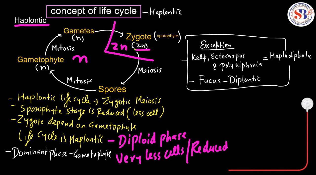 Plant Life Cycle - Type, Process, Part and Phases in Cycle_9.1