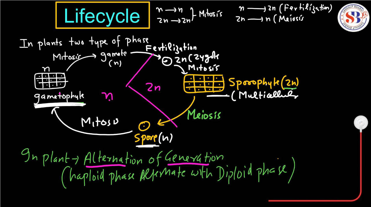 Plant Life Cycle - Type, Process, Part and Phases in Cycle_6.1