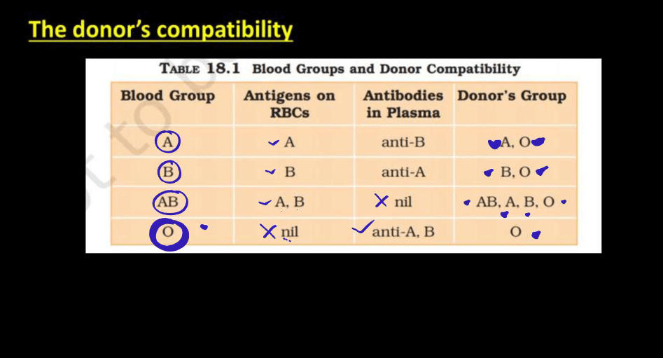Blood Group - ABO Grouping and Rh Grouping_8.1