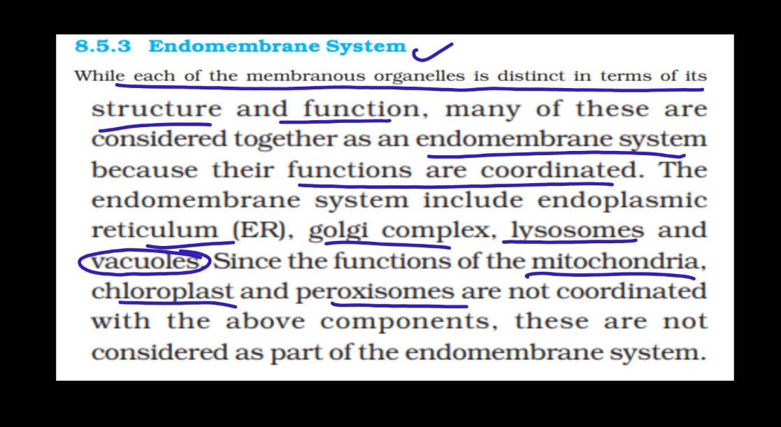 Endomembrane System - All the Organelle Components and Functions_5.1