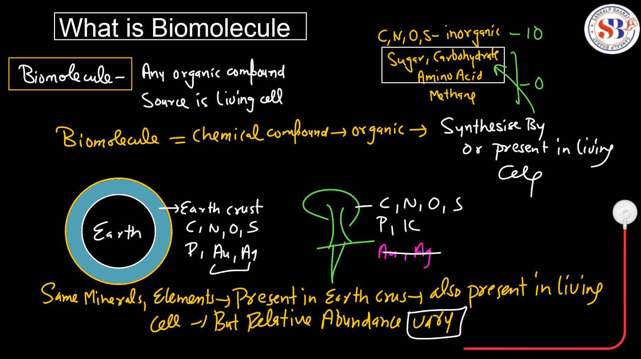 Biomolecules and Its Types - Protein, Carbohydrates, Nucleic Acid, Lipids_3.1