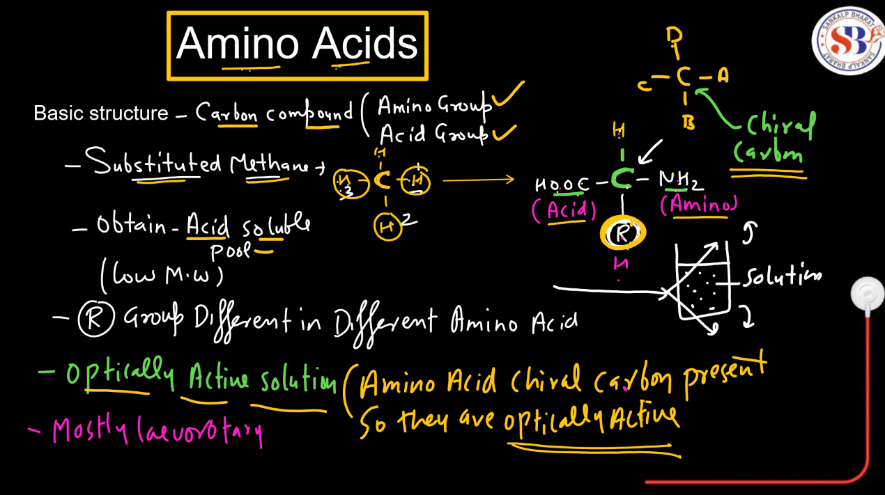 Amino Acids - List, Properties, Functions, Types_4.1