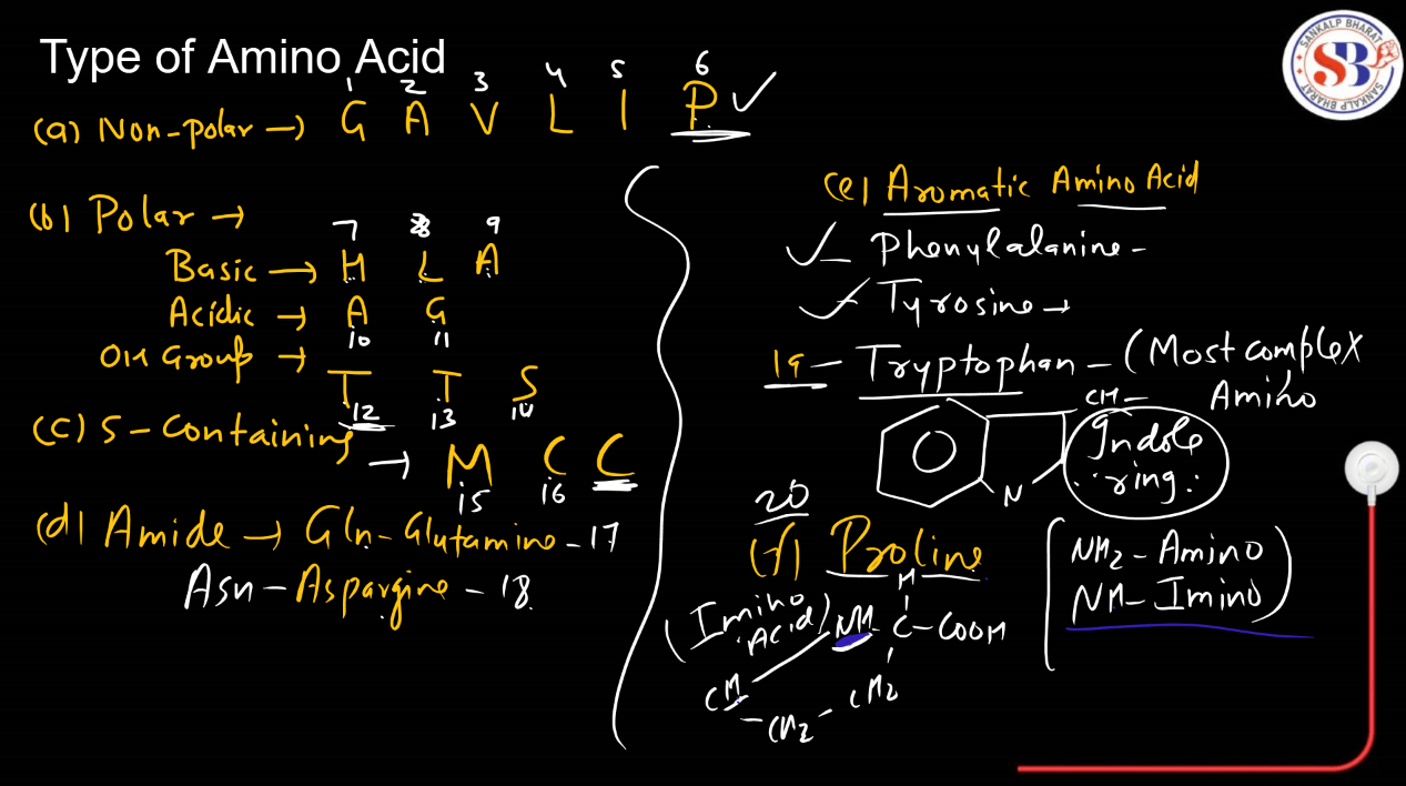 Amino Acids - List, Properties, Functions, Types_8.1