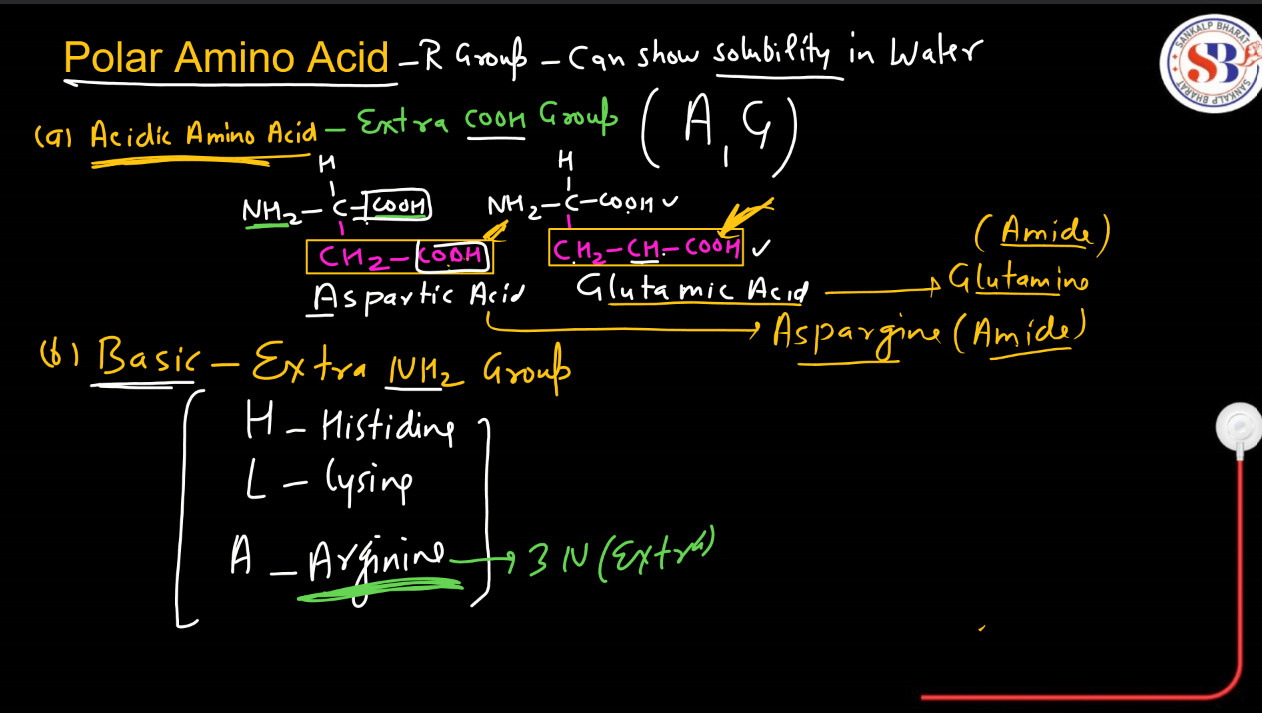 Amino Acids - List, Properties, Functions, Types_10.1