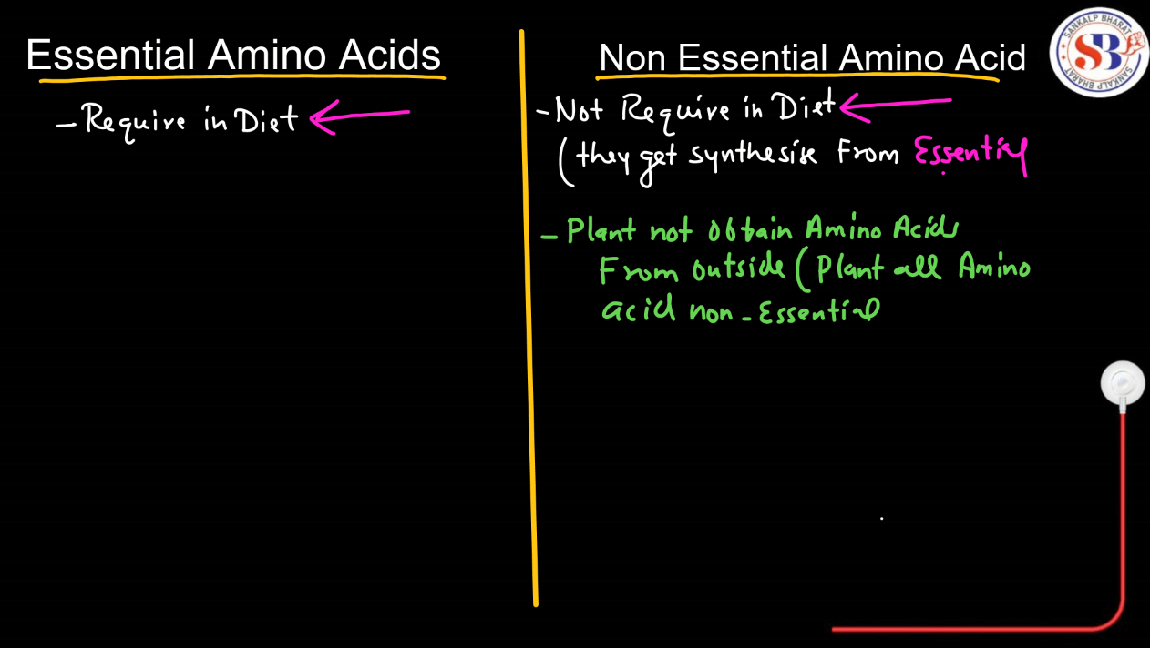 Amino Acids - List, Properties, Functions, Types_13.1