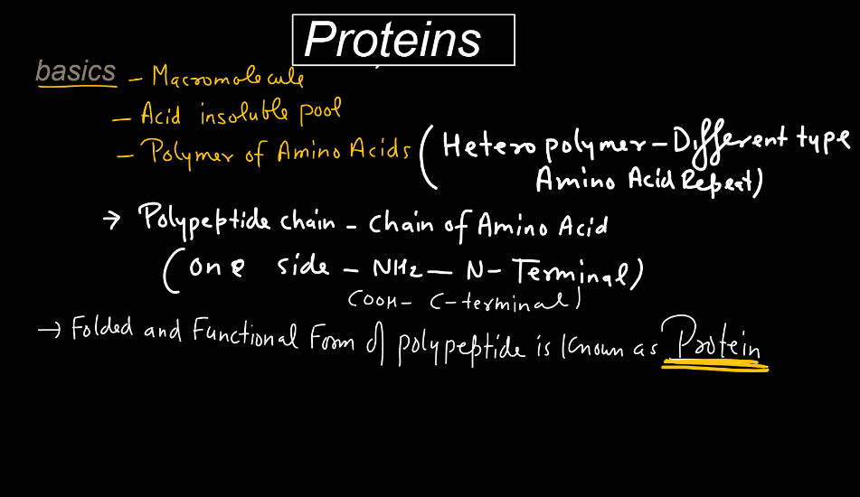 Proteins: Structure, Types, and Functions_4.1