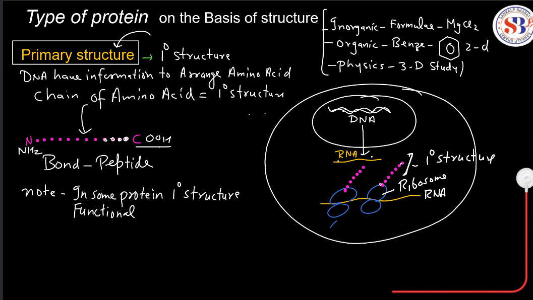 Proteins: Structure, Types, and Functions_6.1