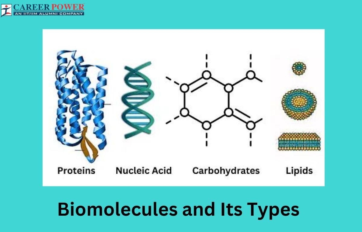Biomolecules and Its Types