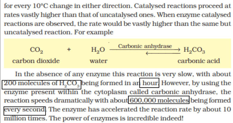 Enzymes: Definition, Functions, and their Structure_7.1