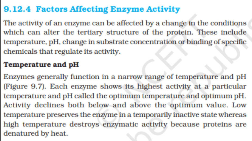 Enzymes: Definition, Functions, and their Structure_17.1