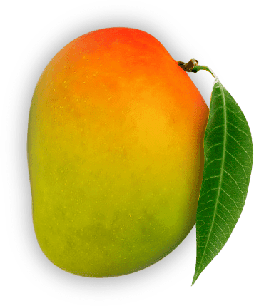 Telangana State Fruit - Mango