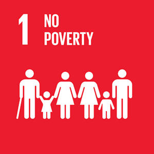 Sustainable Development Goals Report 2021 PDF_4.1