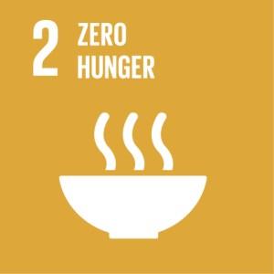 Sustainable Development Goals Report 2021 PDF_5.1