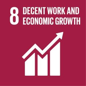 Sustainable Development Goals Report 2021 PDF_11.1