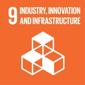 Sustainable Development Goals Report 2021 PDF_12.1