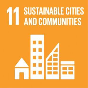 Sustainable Development Goals Report 2021 PDF_14.1