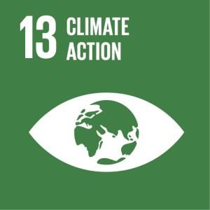 Sustainable Development Goals Report 2021 PDF_16.1