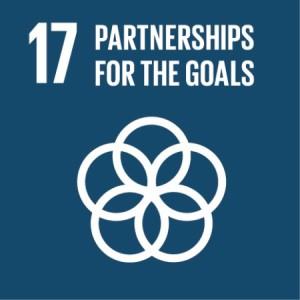 Sustainable Development Goals Report 2021 PDF_20.1