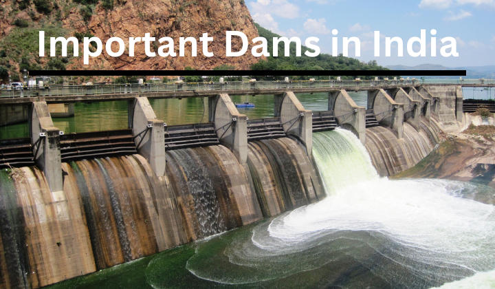 important dams in india