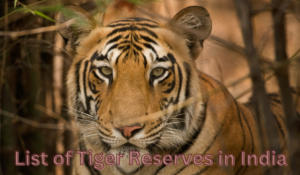 List of tiger reserves in India