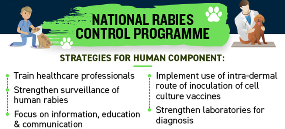 Government of India launched National Rabies Control Program (NRCP) for prevention and control of Rabies_4.1
